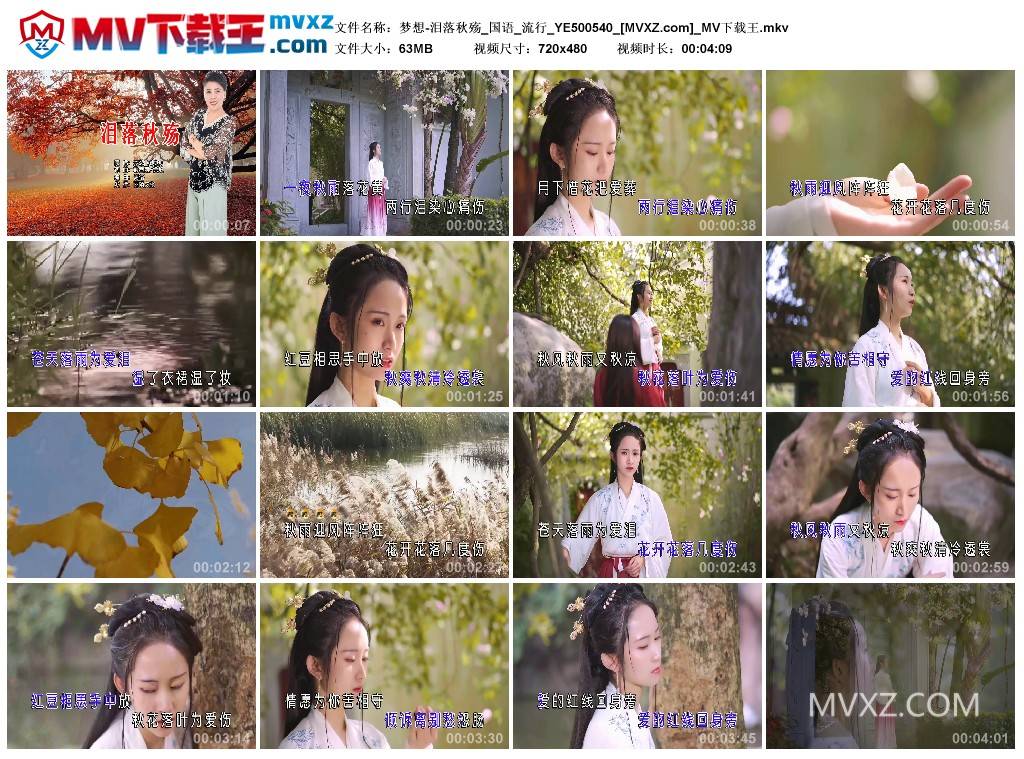 梦想-泪落秋殇_国语_流行_YE500540